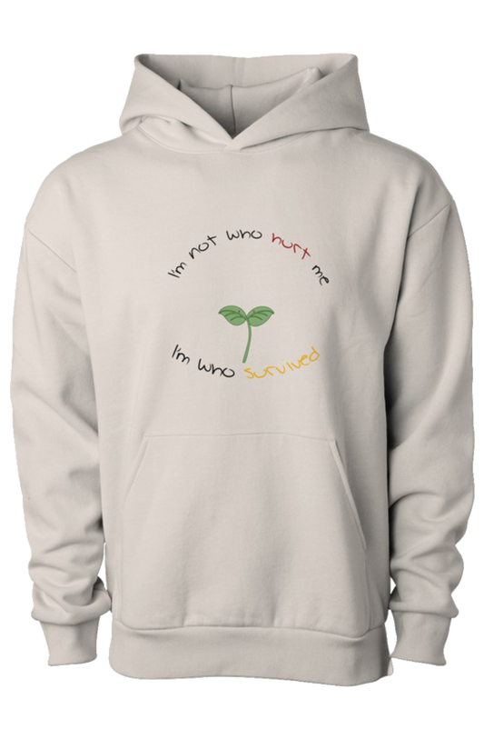 I'm Not Who Hurt Me Hoodie