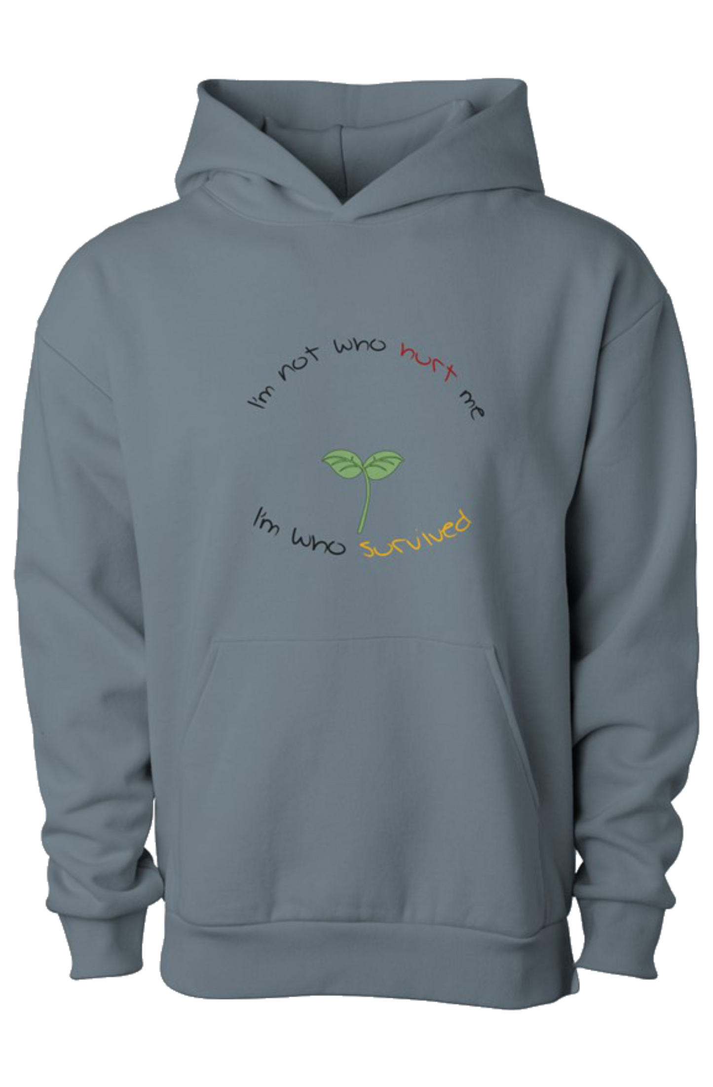 I'm Not Who Hurt Me Hoodie