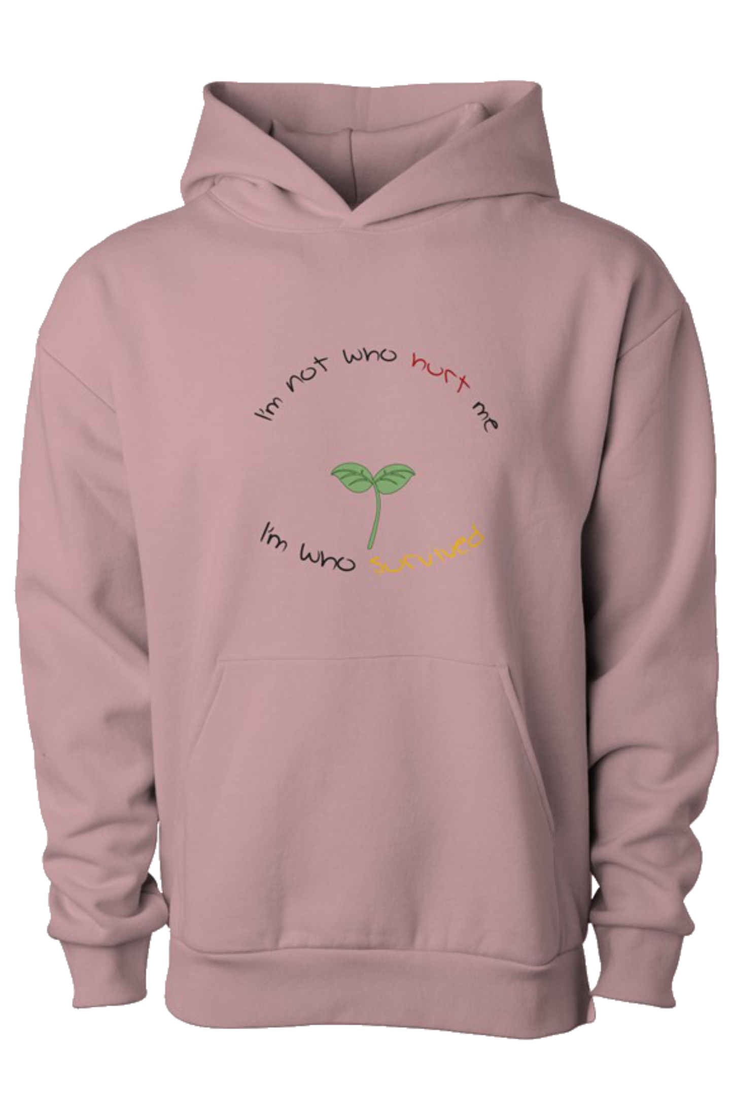 I'm Not Who Hurt Me Hoodie