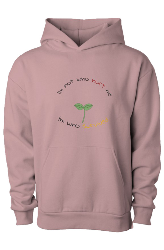 I'm Not Who Hurt Me Hoodie